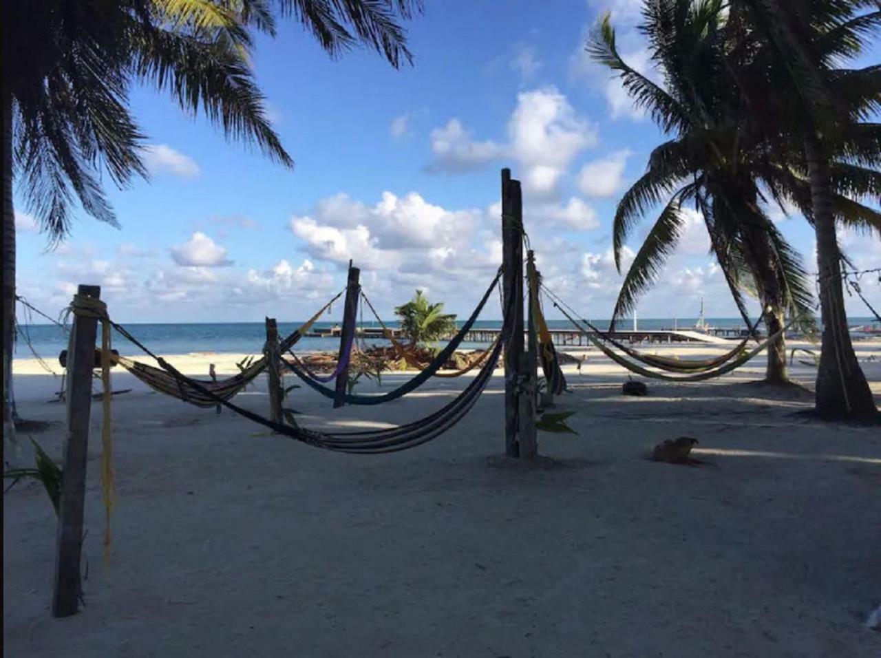Caye Caulker Beach Hotel Eksteriør billede